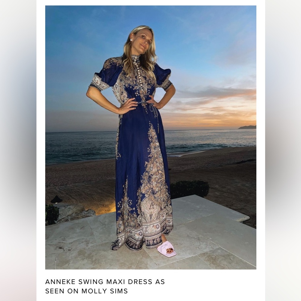 Zimmermann Anneke Maxi Dress in Indigo Paisley - Picture 14 of 16